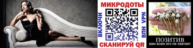 Псилоцибиновые грибы MAGIC MUSHROOMS  МЕГА tor  Кстово 